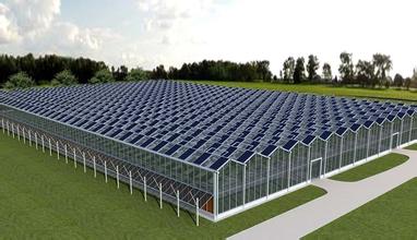 太阳能光伏大棚还可以减少植物病虫害,保证生产的是绿色无公害的产品.