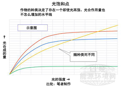 神奇之处在于